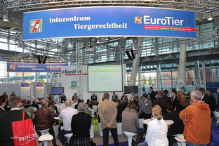 會展服務中的網絡布線安裝 關鍵步驟與最佳實踐