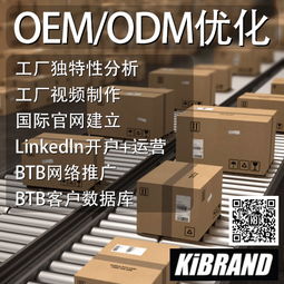 廣州番禺OBM合作收費模式解析 電子商務視角