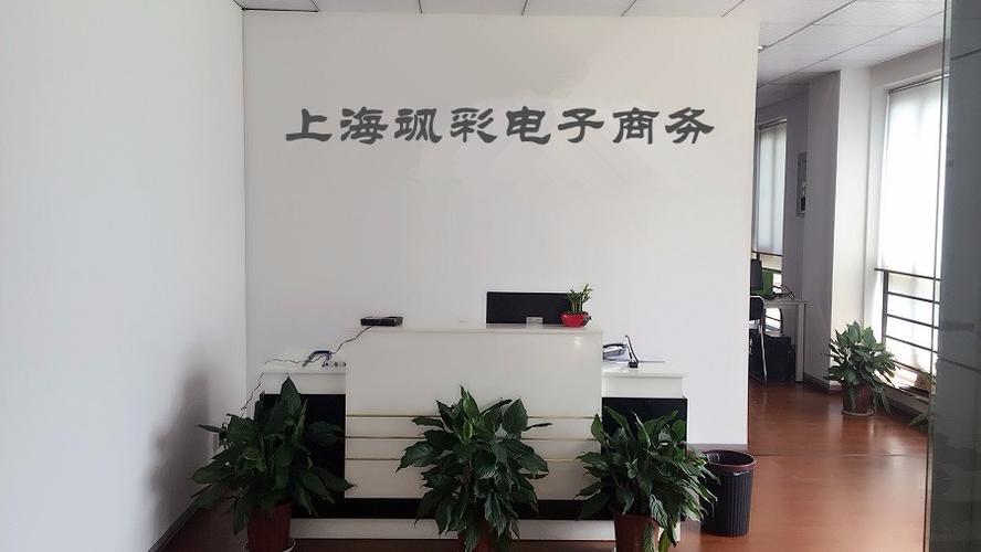 上海颯彩電子商務 引領數字商業新浪潮的創新力量