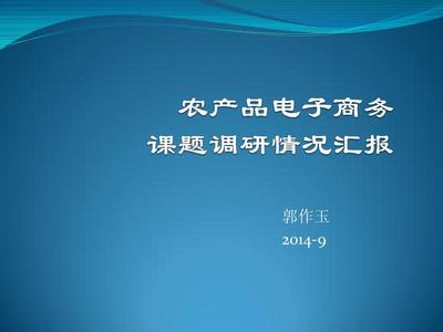 20140913 農產品電商發展研究